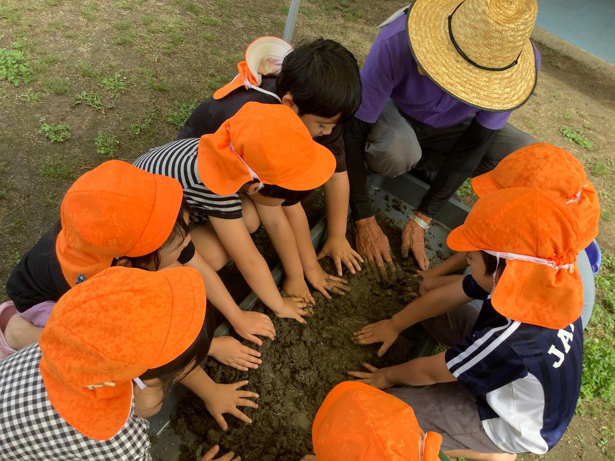 taue0701