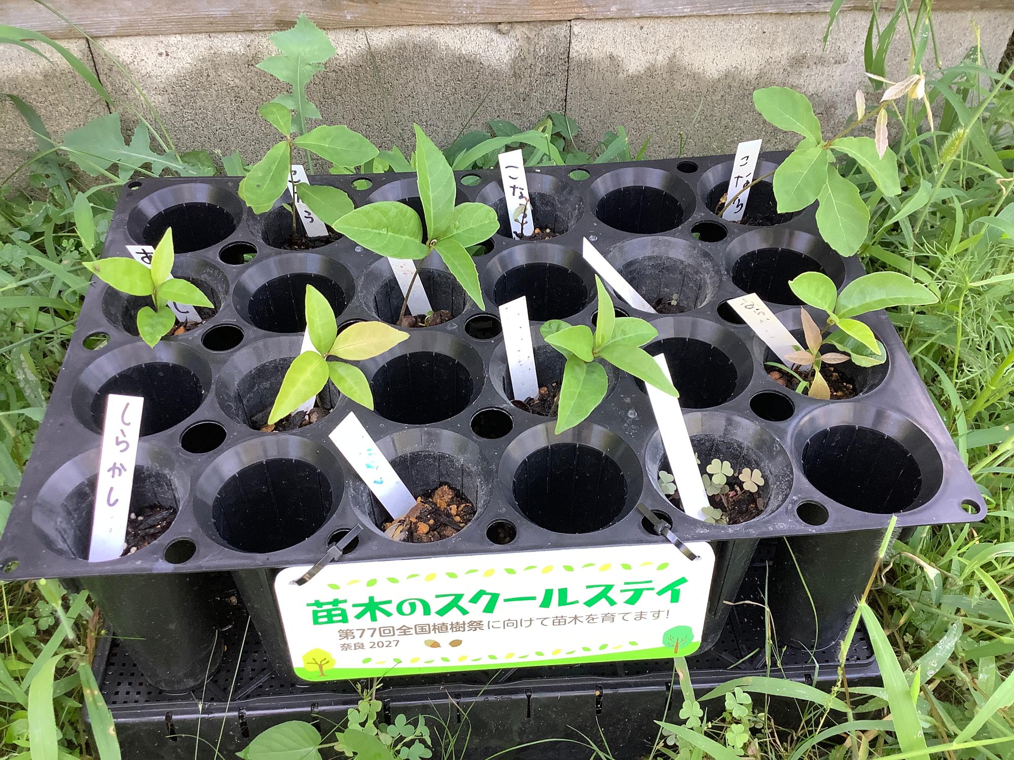 yasumi0703